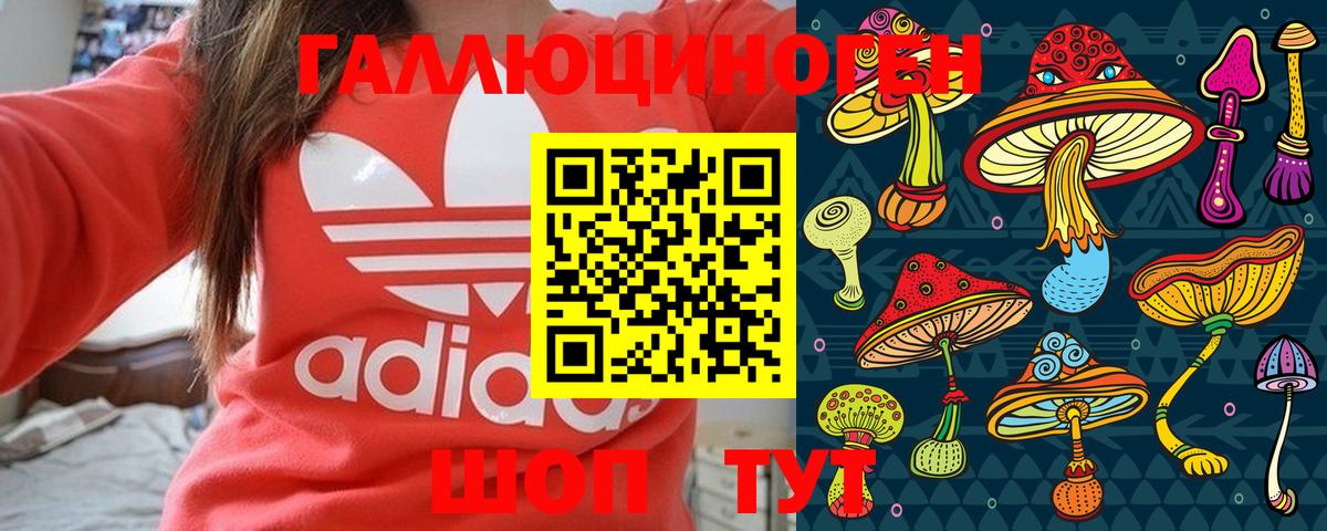 Дивногорск  Псилоцибиновые грибы GOLDEN TEACHER  наркотики  Вход с VPN 